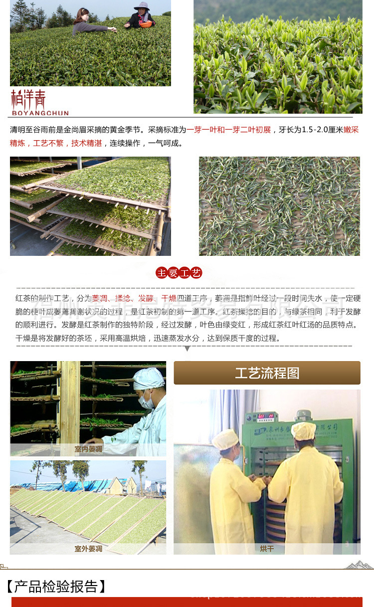 泉州茶叶批发市场全攻略:从安溪铁观音到武夷岩茶,一文读懂进货门道